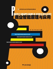 商业智能原理与应用