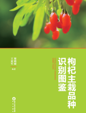 枸杞主栽品种识别图鉴
