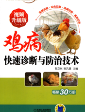 鸡病快速诊断与防治技术_视频升级版