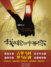 我在轮回中等你