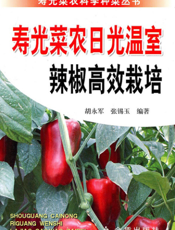 寿光菜农日光温室辣椒高效栽培