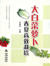 大白菜萝卜春夏高效栽培