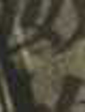 文豪笔下的文豪