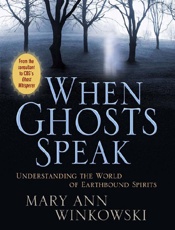 When Ghosts Speak - Mary Ann Winkowski