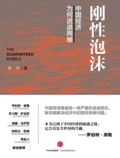 刚性泡沫：中国经济为何进退两难