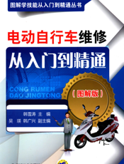 电动自行车维修从入门到精通（图解版）