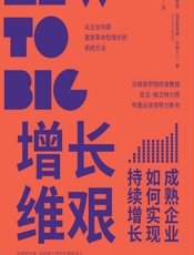 增长维艰——成熟企业如何实现持续增长 - （美）大卫·S.基德;（美）克里斯蒂娜·华莱士