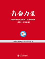 青春力量：全国钢铁行业团指委工作成果汇编（2013～2014年度）