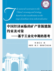 中国经济面临的矿产资源能源约束及对策——基于工业化中期的思考