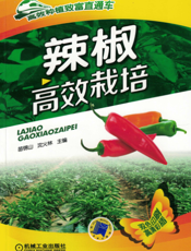 辣椒高效栽培