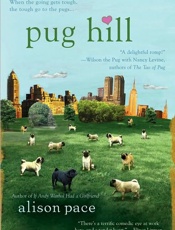 Pug Hill - Alison Pace