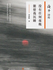 没有任何夜晚能使我沉睡：海子诗传