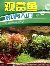 观赏鱼养护入门