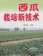 西瓜栽培新技术