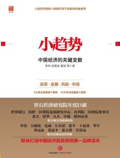 小趋势：中国经济的关键变数 - 李伟