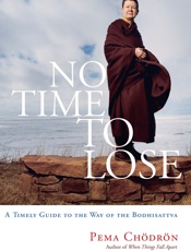 No Time to Lose - Pema Chodron