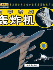 空中奇兵——轰炸机