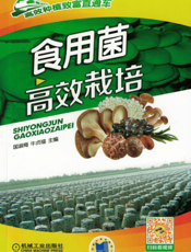 食用菌高效栽培