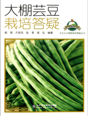 大棚芸豆栽培答疑