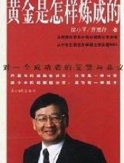 黄金是怎样练成的 - 徐小平
