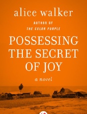 Possessing the Secret of Joy - Alice Walker