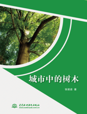 动,形成微风,一般由对流形成的风速约为1m