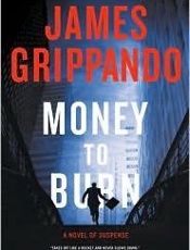 Money to Burn_ A Novel of Suspe - James Grippando