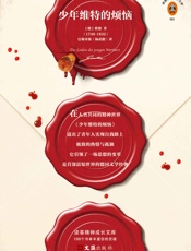 少年维特的烦恼