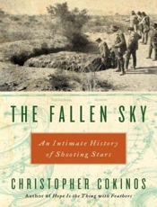 The Fallen Sky - Christopher Cokinos