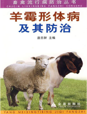 羊霉形体病 及 其 防 治