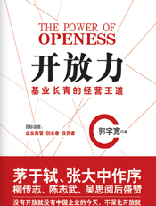 开放力