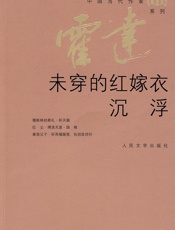 未穿的红嫁衣·沉浮