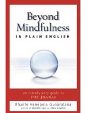 Beyond Mindfulness in Plain Eng - Bhante Henepola Gunaratana