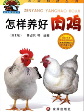 怎样养好肉鸡