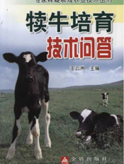 犊牛培育技术问答