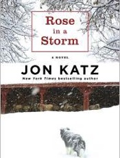 Rose in a Storm - Jon Katz