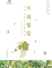 半城葡萄——河北宣化传统葡萄园 - 孙业红，金令仪