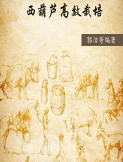 西葫芦高效栽培 - 郭洁等