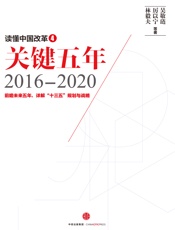 读懂中国改革4：关键五年2016～2020