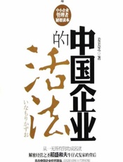 中国企业的活法 - 姜美芝
