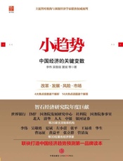 小趋势：中国经济的关键变数-李伟