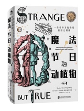 魔法、节日、动植物 _ 一些奇异文化传统的历史渊源