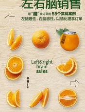 左右脑销售