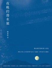 《夜晚的潜水艇》---陈春成