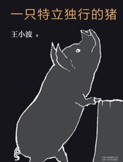 王小波：一只特立独行的猪