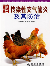 鸡传染性支气管炎及其防治