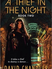 A Thief in the Night - David Chandler
