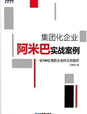 集团化企业阿米巴实战案例