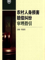 农村人身损害赔偿纠纷审理指引 - 倪金龙