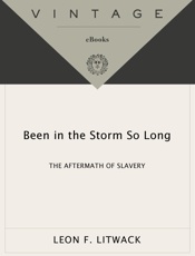 Been in the Storm So Long - Leon F. Litwack